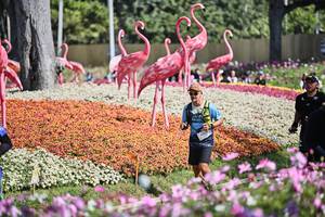 BIB: 
                            <button type="button" onclick="openModal(27793355)" class="btn btn-primary btn-sm float-right btn-popup" data-toggle="modal" data-target=".modal-high-quality">
                        <i class="fas fa-shopping-cart"></i> Add to Cart
                    </button>
                                            <button type="button" onclick="isThisMe(27793355, true)" class="btn btn-success btn-sm float-right btn-popup btn-isme hidden" data-toggle="tooltip" data-placement="bottom" title="นี่คือรูปของคุณใช่ไหม คลิกที่นี่เพื่อเอาเข้าอัลบั้ม">
                        <i class="fas fa-plus"></i> Add to album
                    </button>
                    <button type="button" onclick="isThisMe(27793355, false)" class="btn btn-warning btn-sm float-right btn-popup btn-isnotme hidden">
                        <i class="fas fa-ban"></i> Remove from album
                    </button>